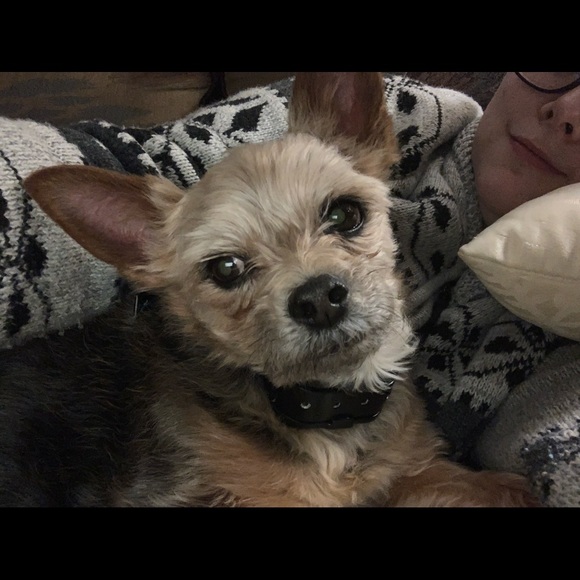 Meet your Posher, Shannon - Picture 1 of 1